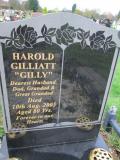 image of grave number 362142